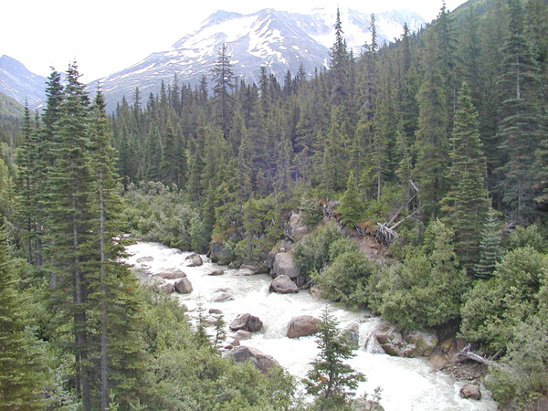 River view from While Pass & Yukon Route train