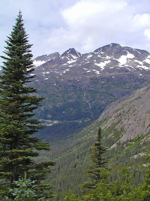 Mountain view from White Pass & Yukon Route train