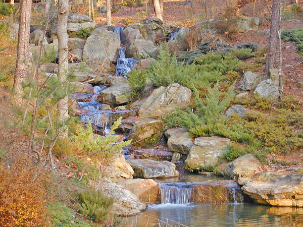 Garvan Woodlands Gardens