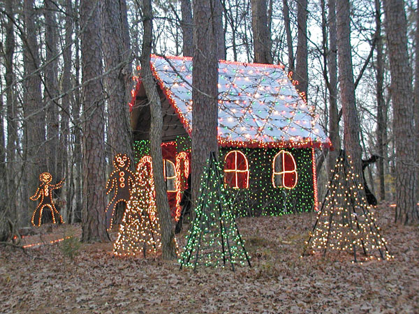 Garvan Woodlands Gardens Christmas lights