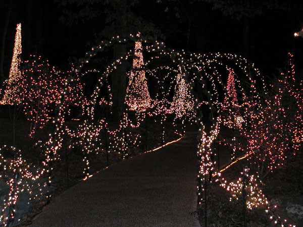 Garvan Woodlands Gardens Christmas lights