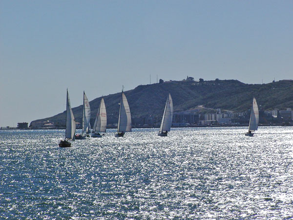 Sailboats in harbor