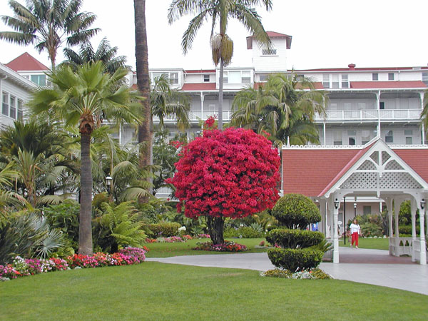 Inner court of Hotel Del