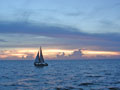 Clearwater, FL header 1