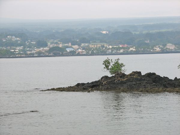 Hilo harbor