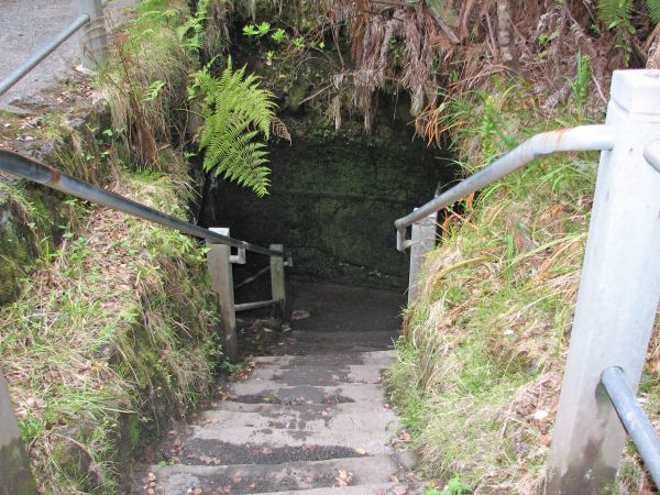 Thurston lava tube exit