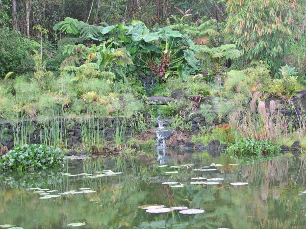 Zoo waterfall