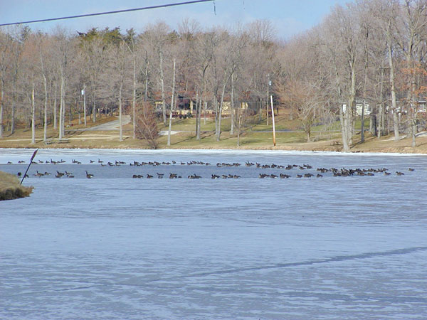 Lake Eureka