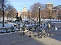 Boston Commons