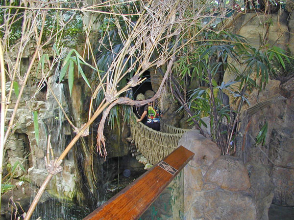 Rope bridge at zoo