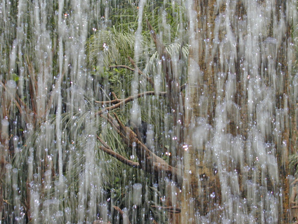 Zoo waterfall