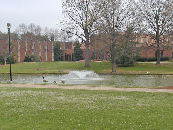 Elon University