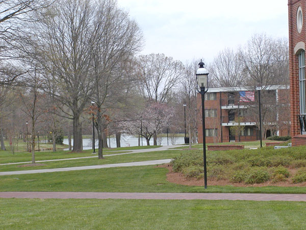 Elon University