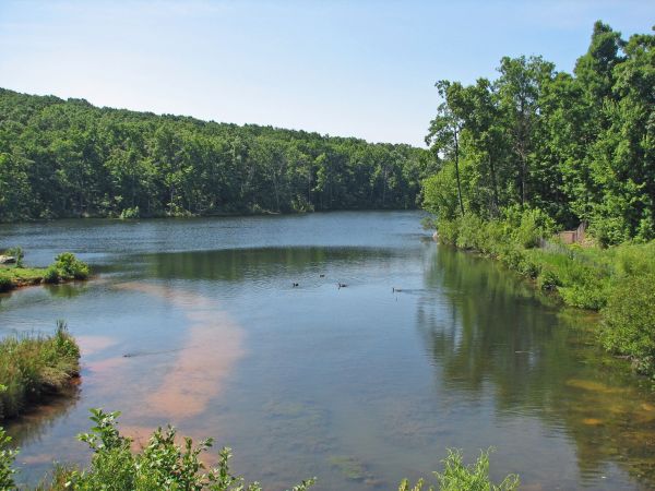 Lake at NC Zoo