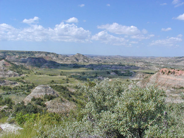 Theodore Roosevelt National Park