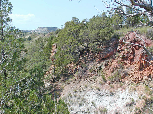 Theodore Roosevelt National Park