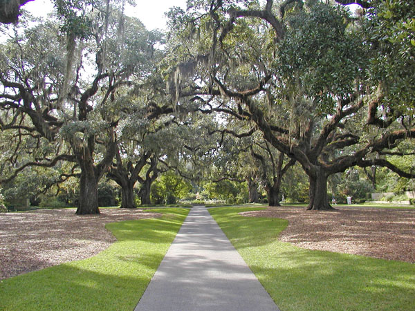 Oak Walk at Brookgreen Gardens