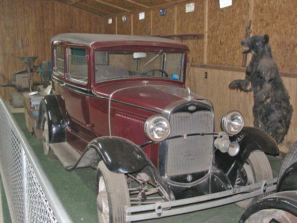 Old car at the zoo