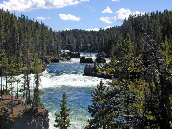 Grand Canyon of Yellowstone