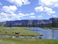 Yellowstone National Park